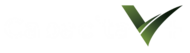 Logo - Capacita V+